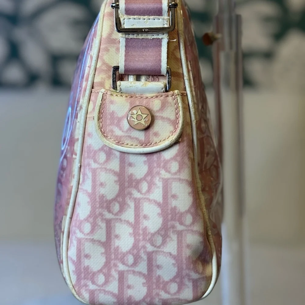 Dior Authentic Pink and Cream Trotter Transparent Crossbody bag w/pouch. RARE - Picture 2 of 16